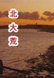 DVD无删减90分钟观看
