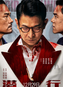 全集免费观看超清